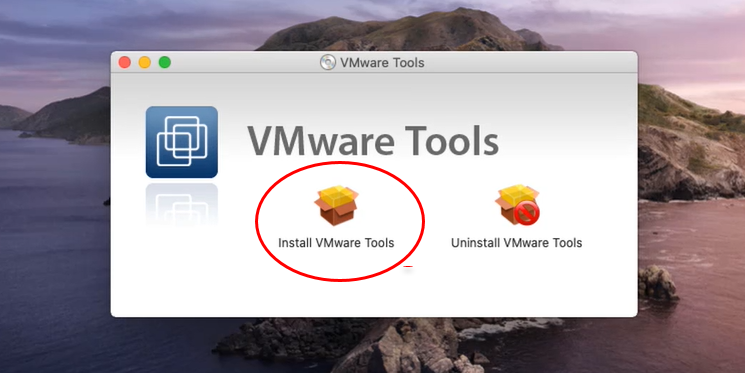 How to Enter Full Screen Mode on VMware on macOS 10.15 Catalina