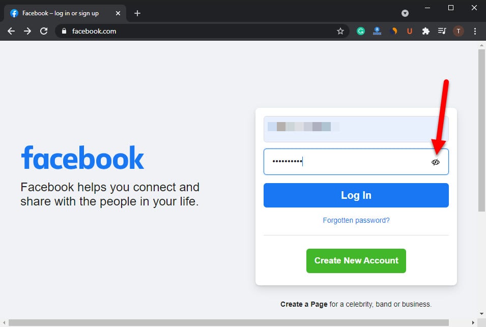 How to see your Facebook Password